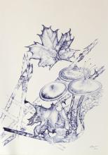 60cm x 42cm BIC Kugelschreiber auf Papier